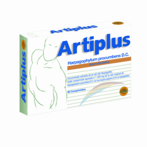 ARTIPLUS 90 comprimidos